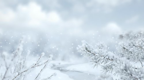 Winter landscape with snow-covered pine branches and falling snowflakes against cloudy sky creating peaceful seasonal atmosphere for holiday designs.