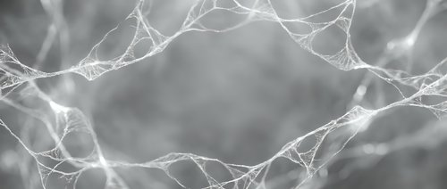 Monochrome neural network web with glowing white fibers forming a frame on soft gray bokeh background, science and technology concept.