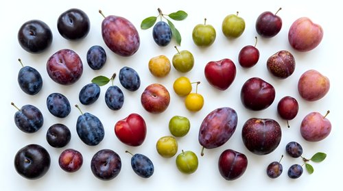 Assorted fresh fruits including blueberries, plums, apples and grapes arranged on white background, suitable for food photography, nutrition content and healthy eating designs.