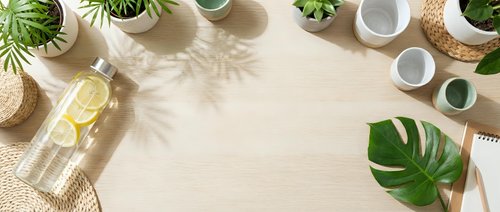 Overhead view of potted succulents and monstera plants arranged on beige wooden surface with natural sunlight shadows, ideal for home decor and gardening content.
