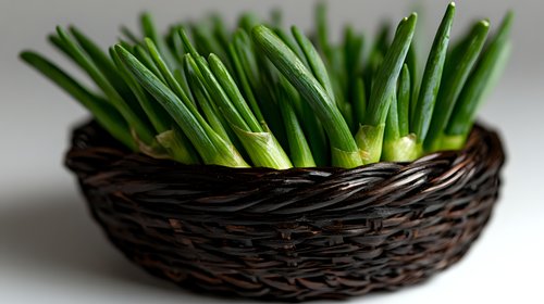 Fresh green onions or scallions arranged in dark woven basket, close up view showing bright stems against rustic container, food photography for cooking and cuisine.