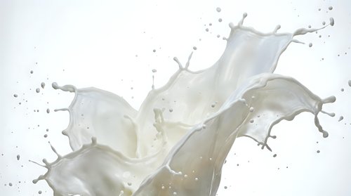 Milk splash with dynamic flowing motion and droplets on white background for dairy product advertising and beverage marketing campaigns.
