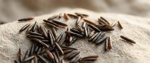 Sunflower seeds scattered on natural linen fabric, suitable for food, agriculture, nutrition, and culinary content.