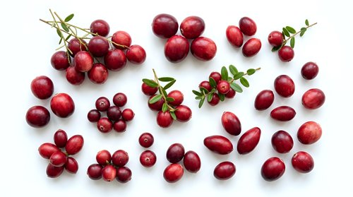 Red currants and berries arranged on white background, isolated for culinary, food styling, recipe design, and packaging projects.