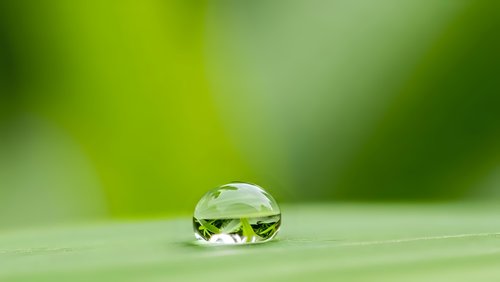 Crystal clear water droplet on fresh green leaf surface with soft natural bokeh background for wellness and nature concepts.