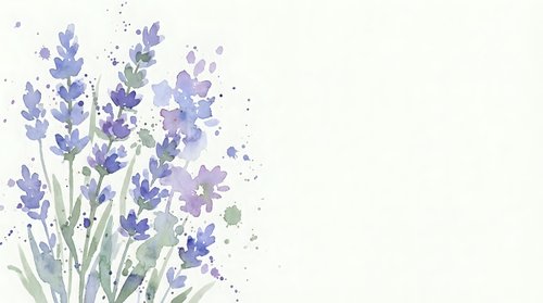 Watercolor lavender flowers with soft purple blooms and green stems on white background. Botanical illustration for aromatherapy and wellness designs.