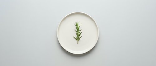 Minimalist flat lay composition featuring fresh rosemary sprig centered on white ceramic plate against neutral background, suitable for culinary, wellness, and organic product design projects.