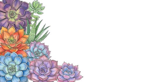Colorful succulent plants corner border frame on white background. Botanical illustration for greeting cards, invitations and decorative design projects.