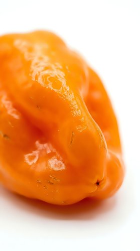 Fresh orange bell pepper isolated on white background, suitable for food, cooking, nutrition, and recipe design projects.