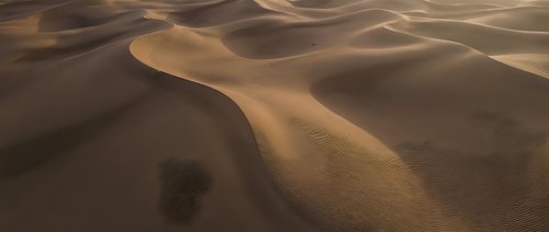 Golden sand dunes with smooth curves and shadows creating natural desert landscape patterns for travel and nature backgrounds.