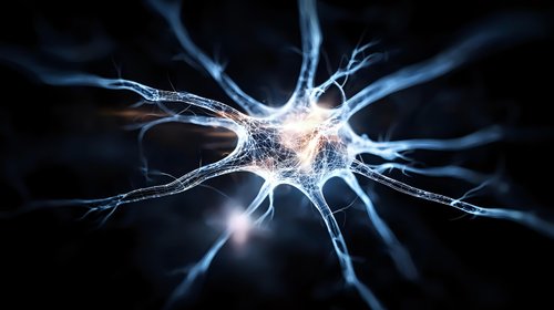 Glowing neuron cell with branching dendrites on dark background illuminated with bright synaptic connections, showing neural network activity in brain science visualization.