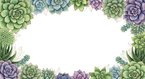 Watercolor succulent frame border with green and purple plants on white background for wedding invitations, greeting cards and botanical designs.