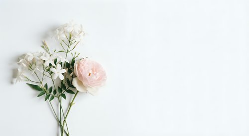 Elegant white and pink ranunculus flowers with green foliage arranged on clean white background for wedding invitations and romantic designs.
