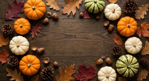 Autumn harvest frame with colorful pumpkins, pine cones, acorns and fall leaves arranged on rustic wooden background for seasonal decoration and thanksgiving.