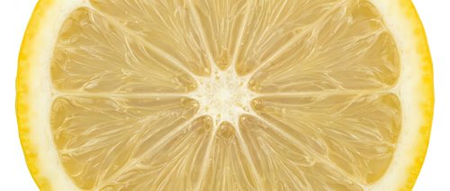 Fresh lemon slice close-up showing juicy segments, vibrant yellow pulp, and natural citrus texture on white background.