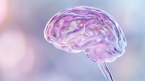 Translucent pink and purple brain model with soft bokeh background showcases medical science and neurology concepts for healthcare and educational presentations.