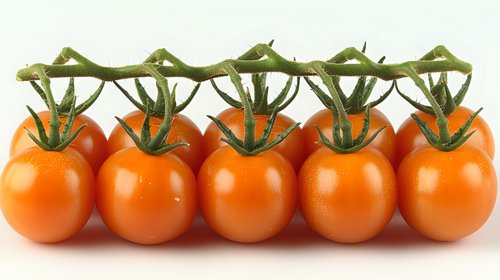Fresh orange cherry tomatoes on vine arranged in row showing natural stem connection. Clean bright produce on white background for food photography.