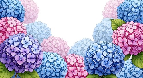 Colorful hydrangea flowers frame border with pink, blue and purple blooms on white background for spring garden design and floral decorations.