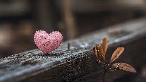 Pink heart shape on weathered wood surface with dried autumn leaves creating romantic rustic scene for Valentine's Day greeting cards and love concepts.