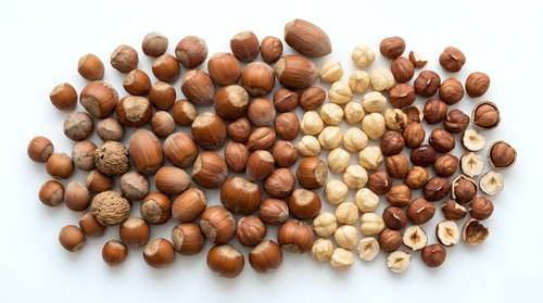 Mixed nuts collection featuring walnuts hazelnuts almonds and pecans scattered on white background for healthy snacking and cooking recipes.