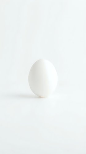 Single white egg on clean white background with soft shadow for minimalist design projects and culinary concepts.