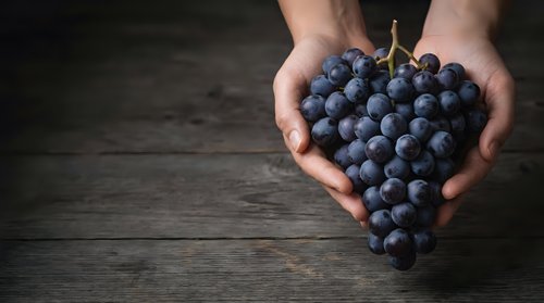 Fresh dark grapes held in hands over rustic wooden surface, showcasing organic produce for food, agriculture, and healthy eating concepts.