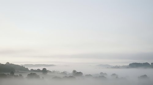 Misty morning landscape with fog rolling over hills and trees creating serene atmospheric scene for nature backgrounds and peaceful meditation content.